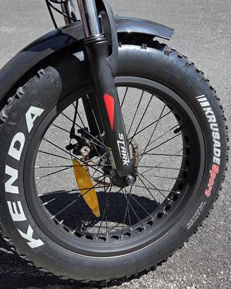 Bici elettrica edizione limitata