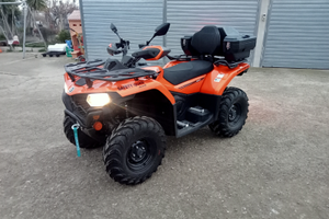 Quad cforce 450 L
