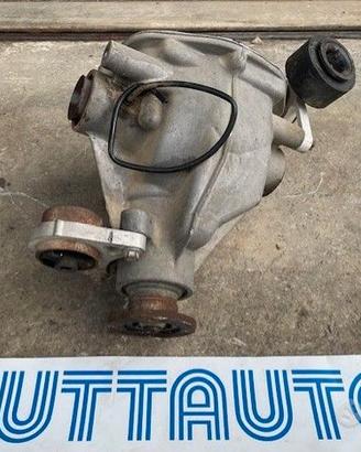 Differenziale posteriore Freelander 2001 1796CC B.