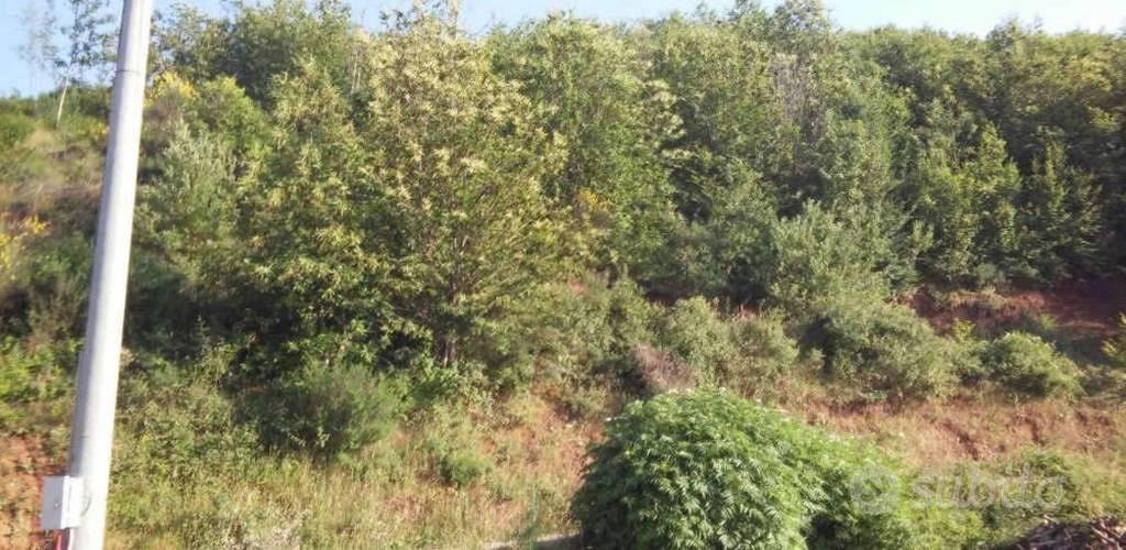 Immobile in asta di 12040 m² a Luzzi - Vista 2