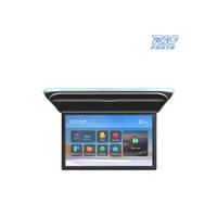 SCHERMO PER TETTO FULL HD DA 17,3"