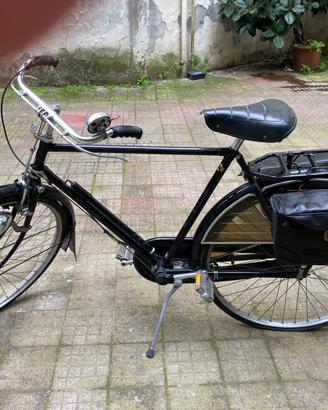 BICI RALEIGH