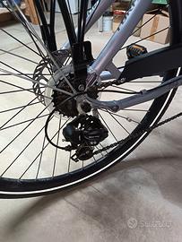 bicicletta  assistita
