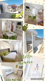 Trilocale a due passi dal mare, Lido Marini