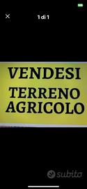 Terreno agricolo