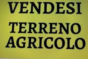 Terreno agricolo