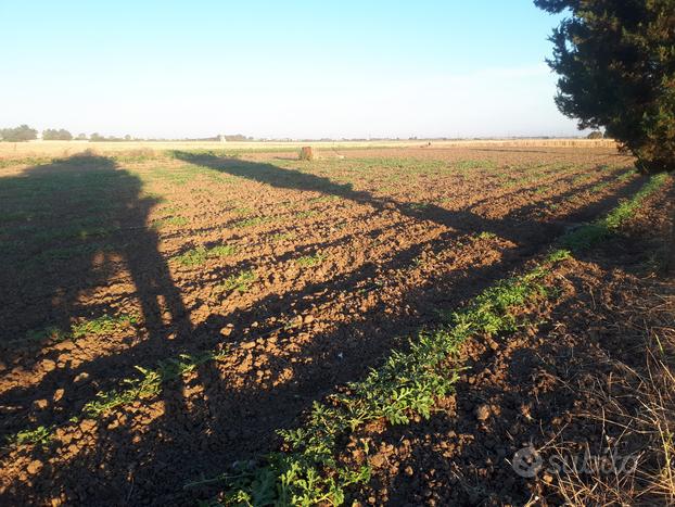 Terreno agricolo zona montenegro