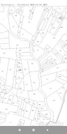 Terreni agricoli e da pascolo nove ettari