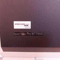 Stampante Plotter Epson Stylus Pro WT7900