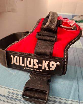 Pettorina Julius k9 taglia L/1