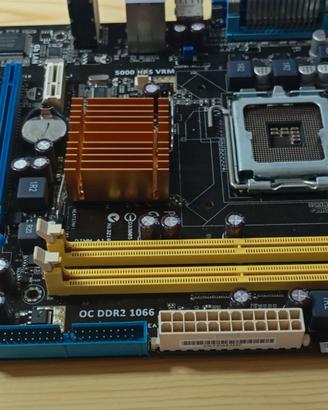 Scheda madre ASUS