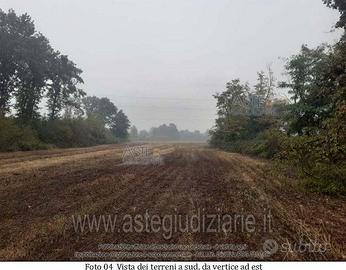 Terreno Agricolo Leini [A4347317]