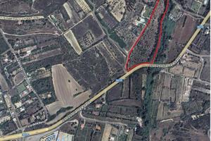 Terreno agricolo di circa 21000 metri recintato