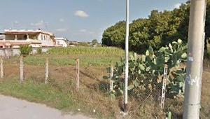 Terreno agricolo