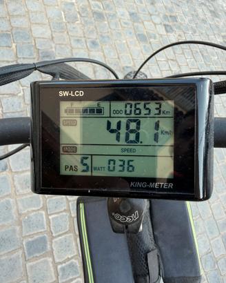 Bici elettrica 500W