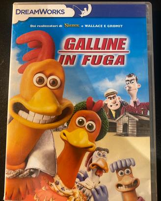 cd di galline in fuga