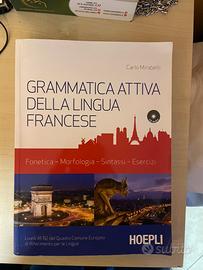 Grammatica attiva della lingua francese