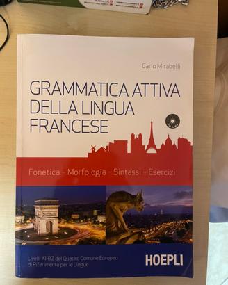 Grammatica attiva della lingua francese