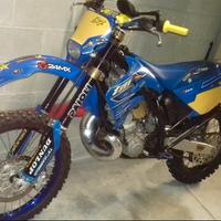 TM Racing 300 Enduro - 2007