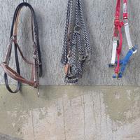 Accessori per cavalli all’americana