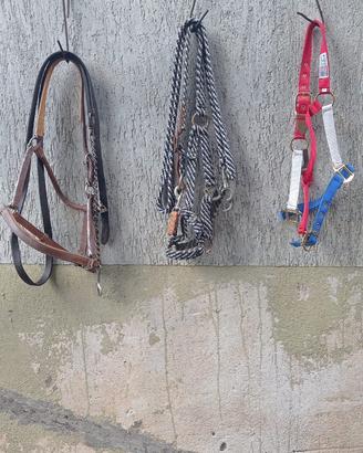 Accessori per cavalli all’americana