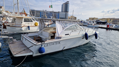 Barca yacth trojan 33 express