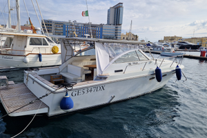 Barca yacth trojan 33 express