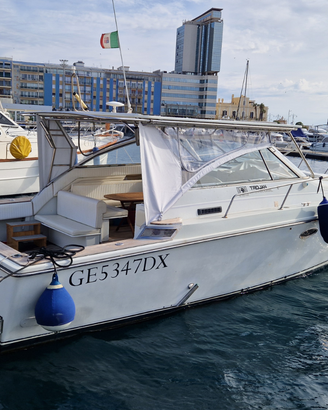 Barca yacth trojan 33 express