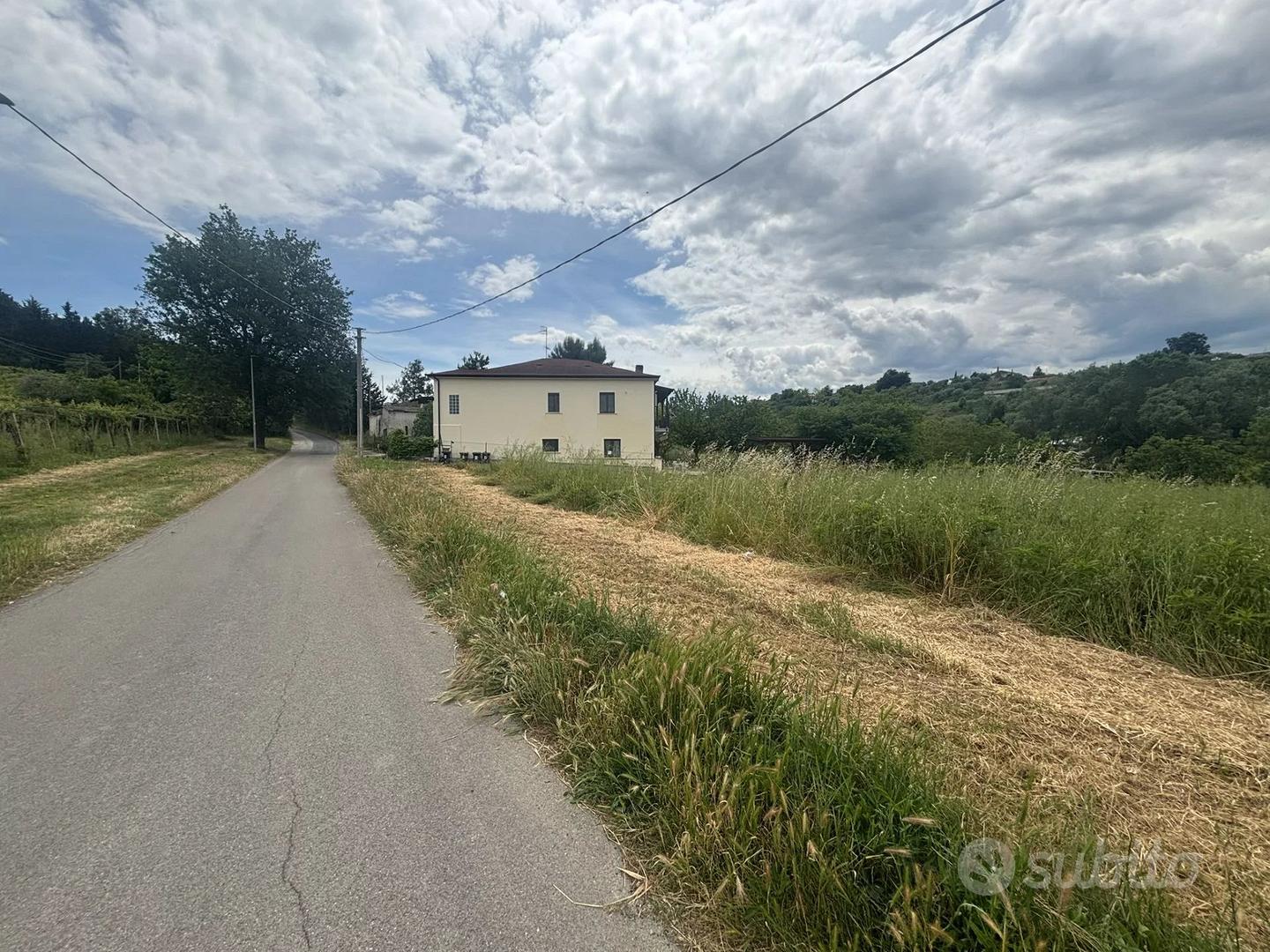 TERRENO AGRICOLO - Vista 4