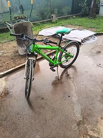 bicicletta 