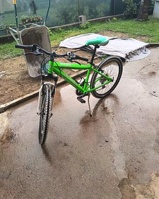 bicicletta 