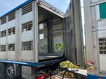 Scania trasporto bestiame