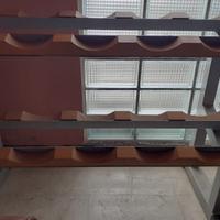 Rastrelliera palestra