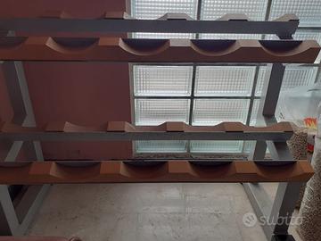 Rastrelliera palestra