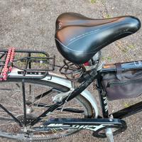 bicicletta in alluminio 