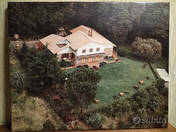 Villa tra Prato e Pistoia - parco del Monteferrato