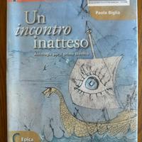 Libro scolastico un incontro inatteso