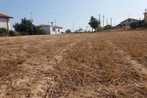 423 Terreno edificabile Atri