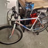 Bicicletta Mountain Bike