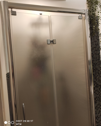 Porta box doccia vetro acciaio 195 x 90 opaca pium