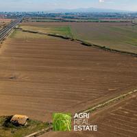 Terreno agricolo 24 HA e rimessa di 160 mq | TR463