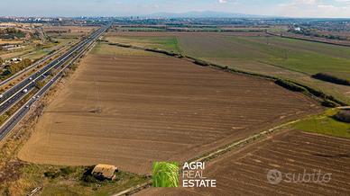 Terreno agricolo 24 HA e rimessa di 160 mq | TR463