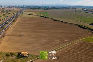 Terreno agricolo 24 HA e rimessa di 160 mq | TR463