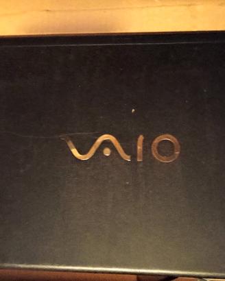 display completo Sony Vaio 