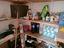 Immagine 12