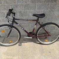 Mountain bike per ragazzi