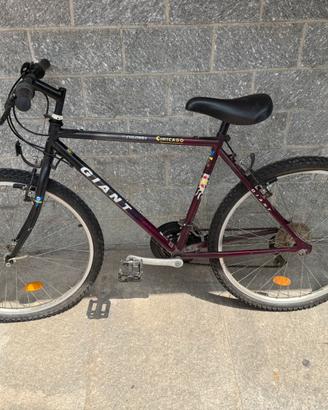 Mountain bike per ragazzi