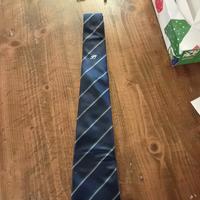 Cravatta originale delle FS 