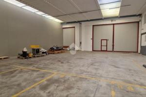 CAPANNONE A SUSEGANA