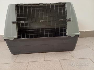 trasportino cane